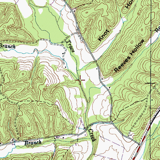 Topographic Map of Moon Branch, TN