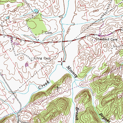 Topographic Map of Mooney Branch, TN