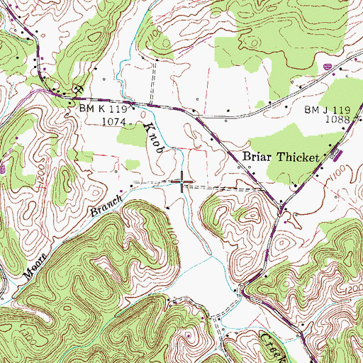 Topographic Map of Moore Branch, TN
