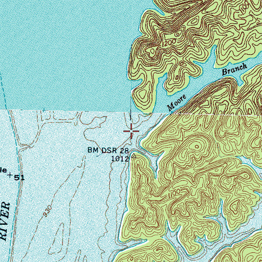 Topographic Map of Moore Branch, TN