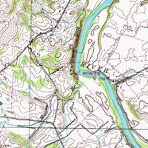 Topographic Map of Moore Branch, TN