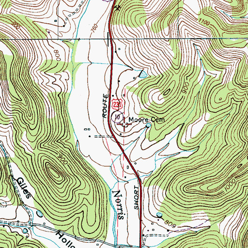 Topographic Map of Moore Cemetery, TN