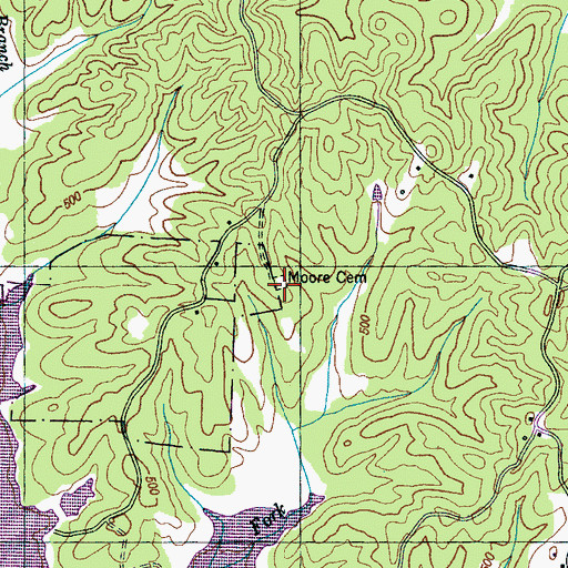 Topographic Map of Moore Cemetery, TN