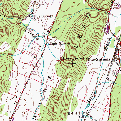 Topographic Map of Moore Spring, TN