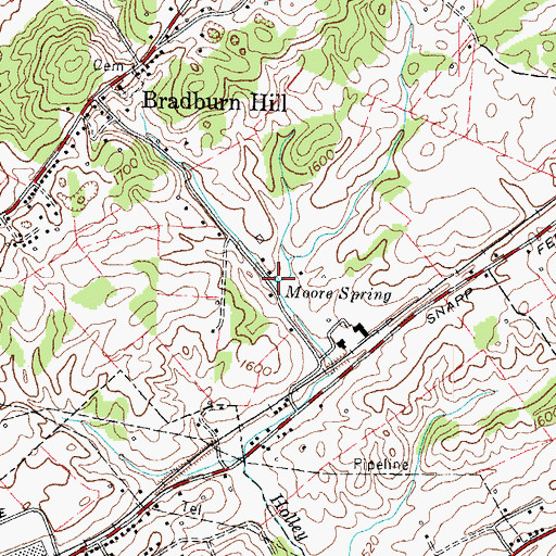 Topographic Map of Moore Spring, TN
