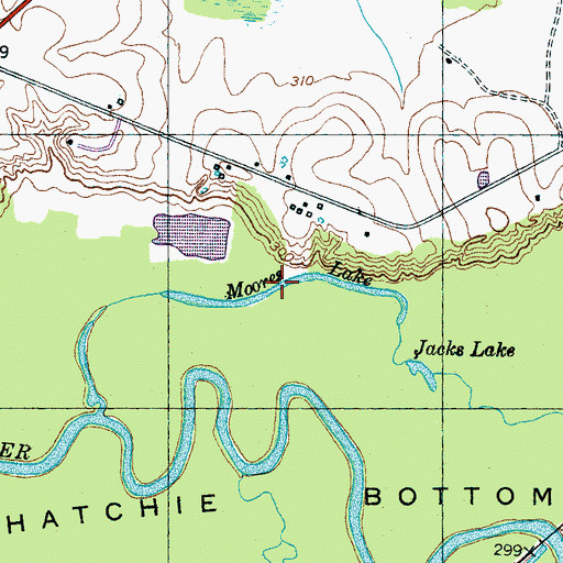 Topographic Map of Moores Lake, TN
