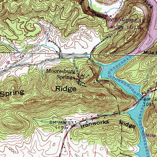Topographic Map of Mooresburg Springs, TN