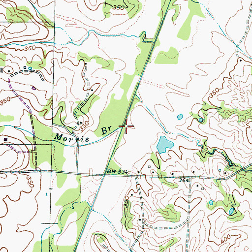 Topographic Map of Morris Branch, TN