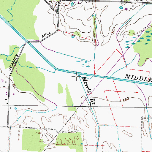 Topographic Map of Morris Branch, TN