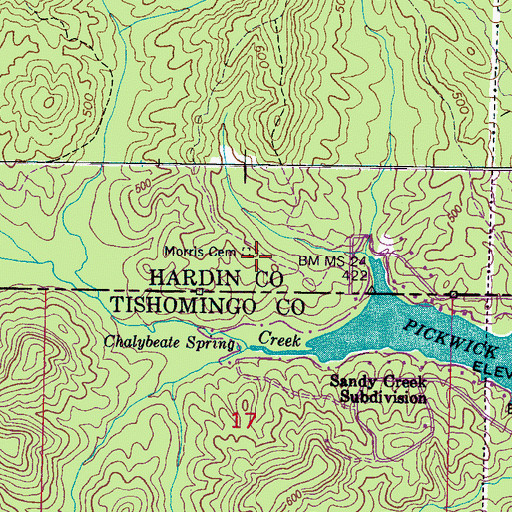 Topographic Map of Morris Cemetery, TN