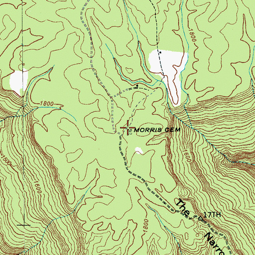 Topographic Map of Morris Cemetery, TN