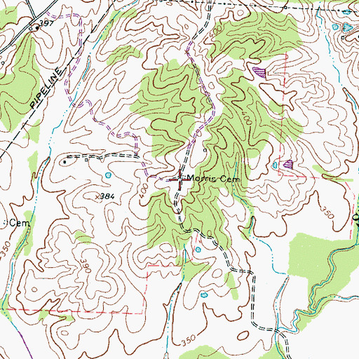 Topographic Map of Morris Cemetery, TN