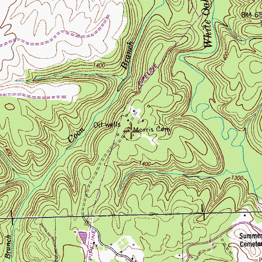 Topographic Map of Morris Cemetery, TN
