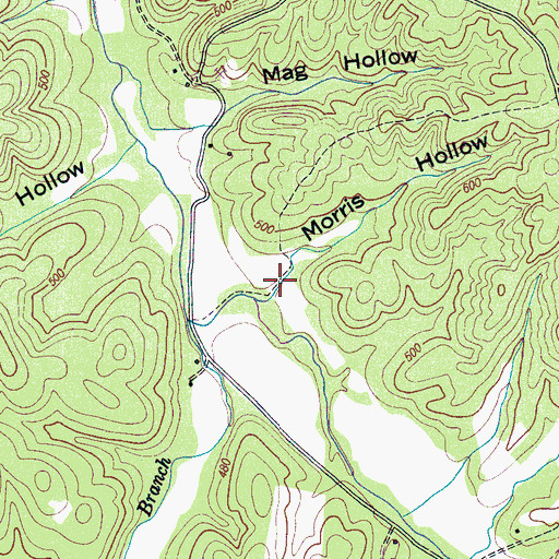 Topographic Map of Morris Hollow, TN