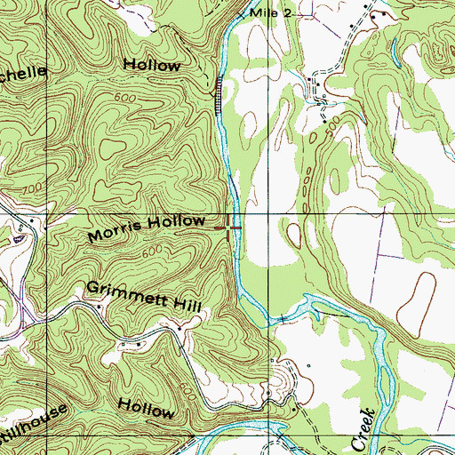 Topographic Map of Morris Hollow, TN