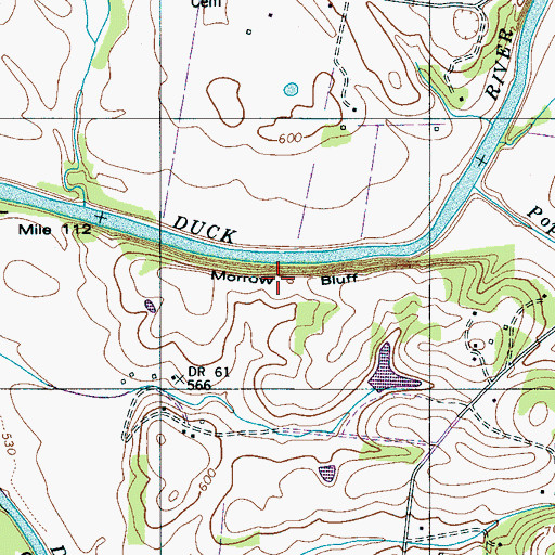 Topographic Map of Morrow Bluff, TN