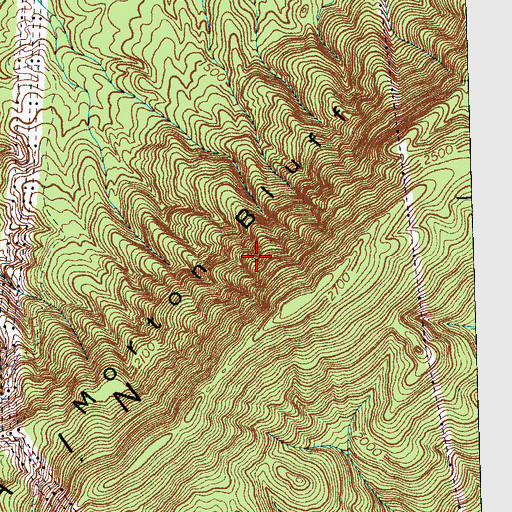 Topographic Map of Morton Bluff, TN