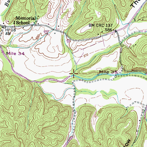 Topographic Map of Moser Branch, TN