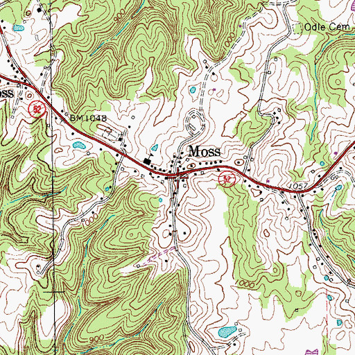 Topographic Map of Moss, TN