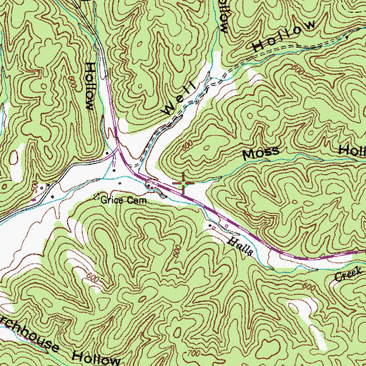 Topographic Map of Moss Hollow, TN