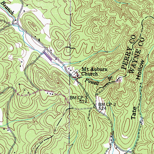Topographic Map of Mount Auburn Church, TN