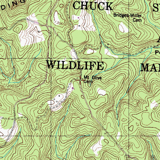 Topographic Map of Mount Olive Cemetery, TN