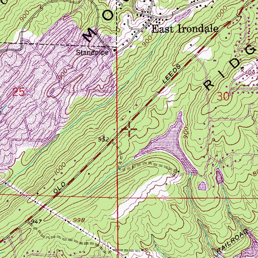 Topographic Map of Burton D Olshan Airport (historical), AL