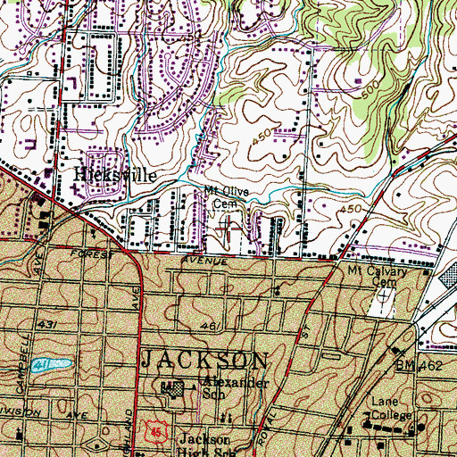 Topographic Map of Mount Olivet Cemetery, TN