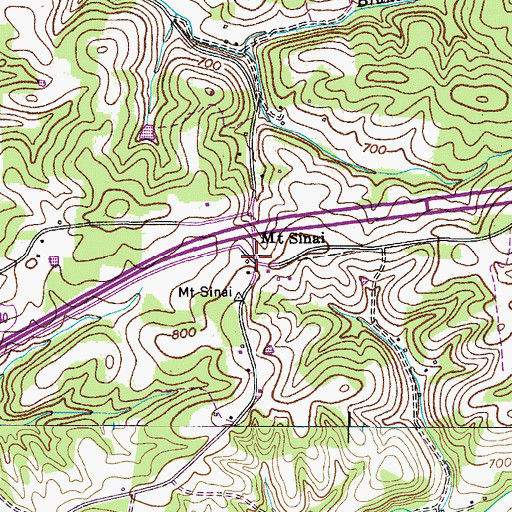 Topographic Map of Mount Sinai, TN