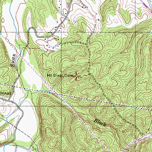 Topographic Map of Mount Sinai Cemetery, TN