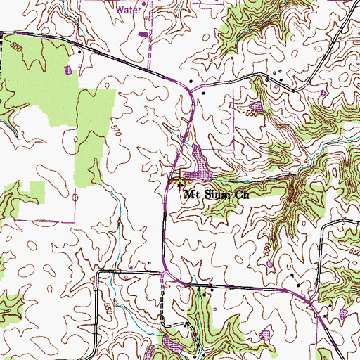 Topographic Map of Mount Sinai Church, TN