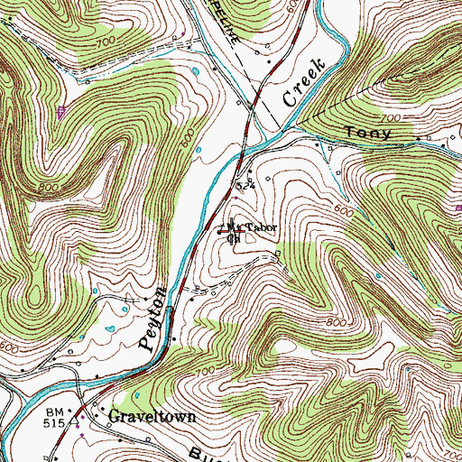 Topographic Map of Mount Tabor Church, TN