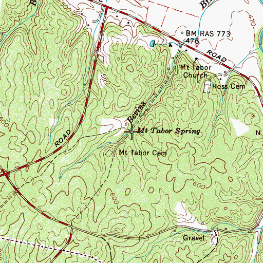 Topographic Map of Mount Tabor Spring, TN