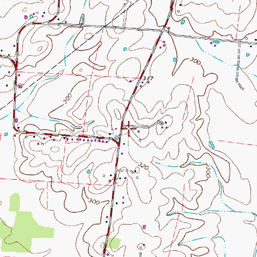 Topographic Map of Mount Tirzah Church, TN