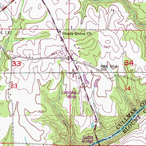 Topographic Map of New Horizon Airport, AL