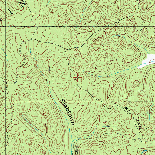 Topographic Map of Mount Zion Trail, TN