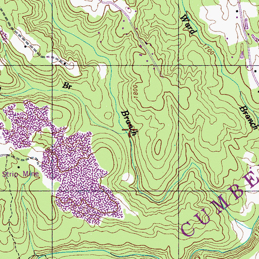 Topographic Map of Muddy Branch, TN