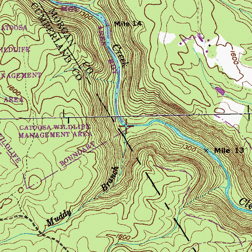 Topographic Map of Muddy Branch, TN