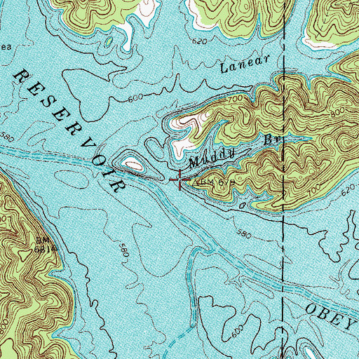 Topographic Map of Muddy Branch, TN