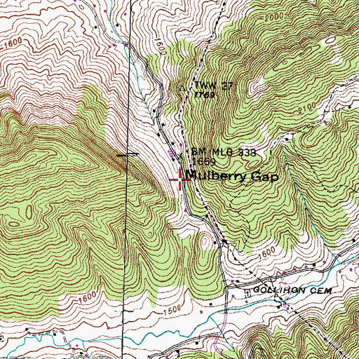 Topographic Map of Mulberry Gap, TN