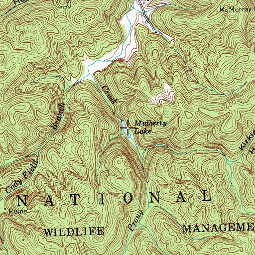 Topographic Map of Mulberry Lake, TN