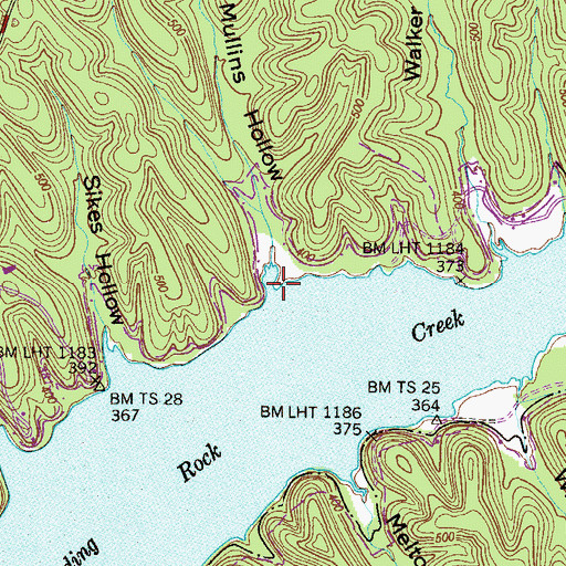 Topographic Map of Mullins Hollow, TN