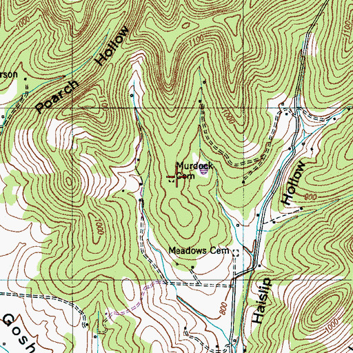 Topographic Map of Murdock Cemetery, TN