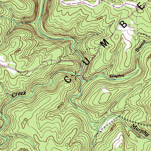 Topographic Map of Murphy Branch, TN