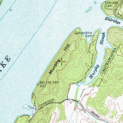 Topographic Map of Murphy Hill, TN