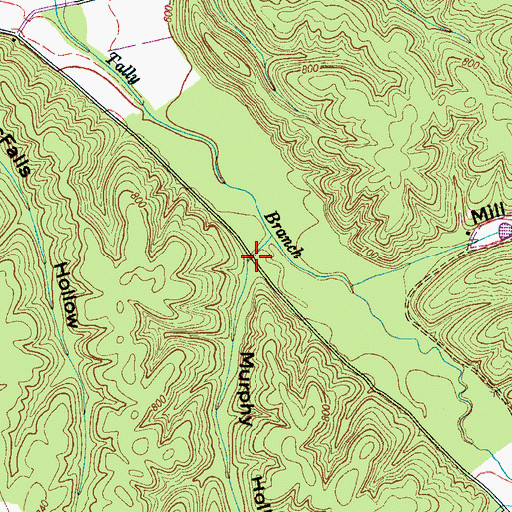 Topographic Map of Murphy Hollow, TN