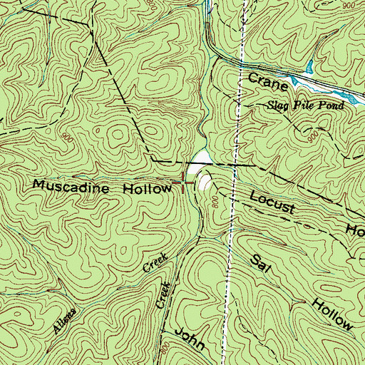 Topographic Map of Muscadine Hollow, TN