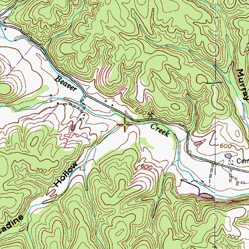 Topographic Map of Muscadine Hollow, TN