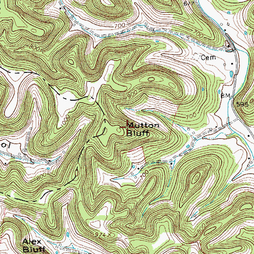 Topographic Map of Mutton Bluff, TN