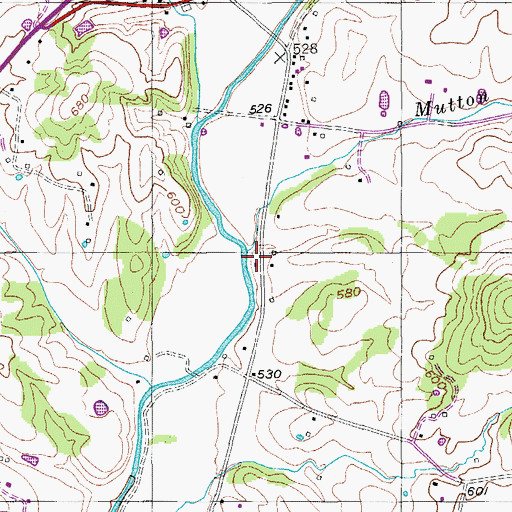 Topographic Map of Mutton Branch, TN